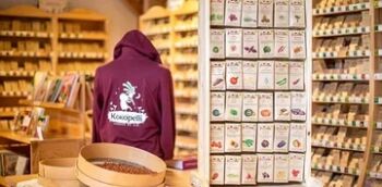 kokopelli image générale.jpg